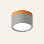 Cylinder Kleine Plafondlamp