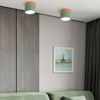 Cylinder Kleine Plafondlamp