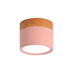 Cylinder Kleine Plafondlamp