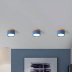 Cylinder Kleine Plafondlamp