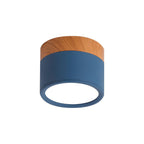 Cylinder Kleine Plafondlamp