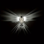 TwilightOwl - LED Wanddecoratie in Uilvorm voor Sfeerverlichting