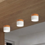 Small Ceiling Lamp Macaron-3