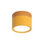 Small Ceiling Lamp Macaron-1
