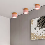 Cylinder Kleine Plafondlamp
