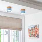 Cylinder Kleine Plafondlamp