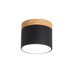 Liora Shade - Plafondlamp