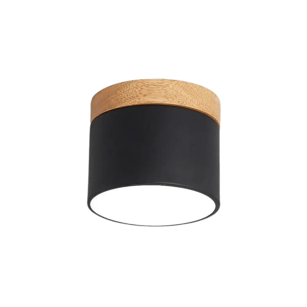Liora Shade - Plafondlamp