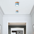 Cylinder Kleine Plafondlamp