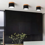 Liora Shade - Plafondlamp