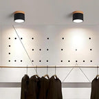 Liora Shade - Plafondlamp