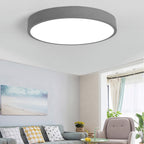 Morandi moderne ronde LED-plafondlamp roze grijs metalen woonkamer