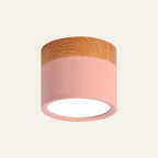 Cylinder Kleine Plafondlamp