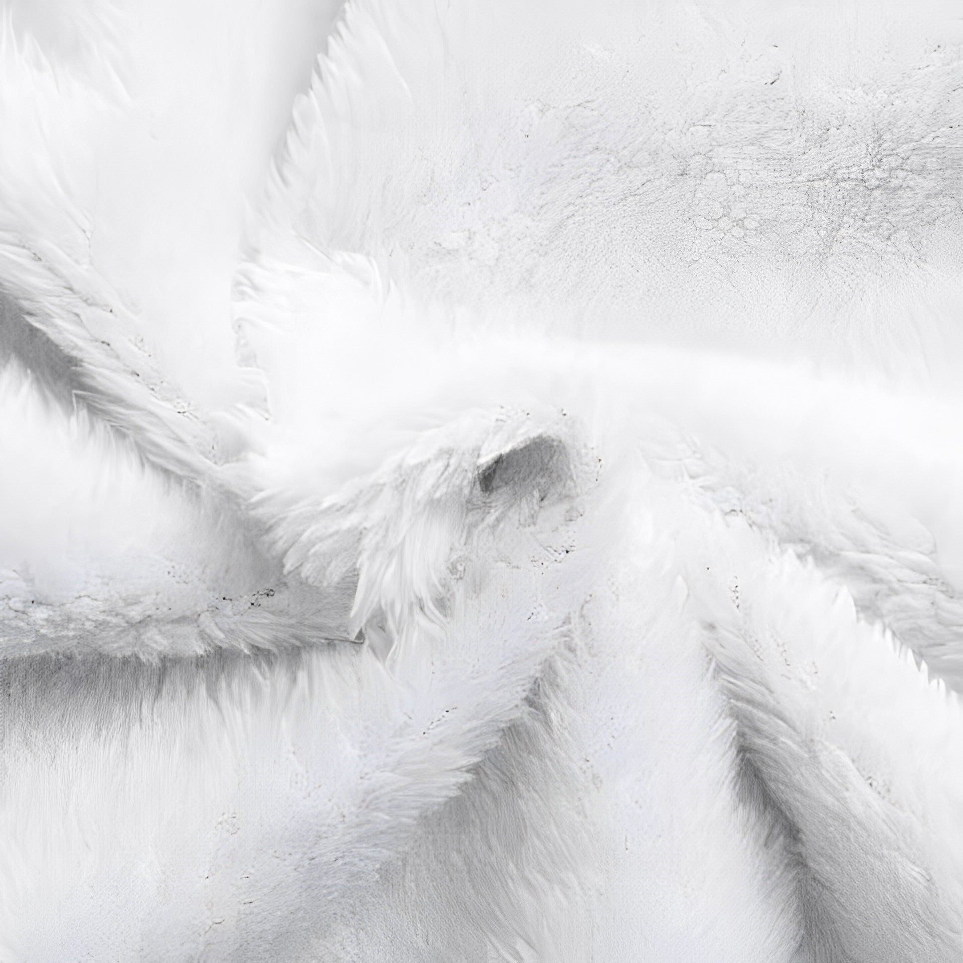 Regenjas Polyester Met Fleecevoering Voor Winterregen