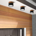 Cylinder Kleine Plafondlamp