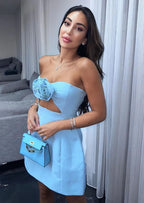 Amity Mini Jurk