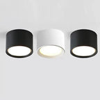 Emberlynn Opbouw Downlight 1