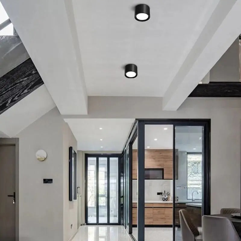 Emberlynn Opbouw Downlight 2