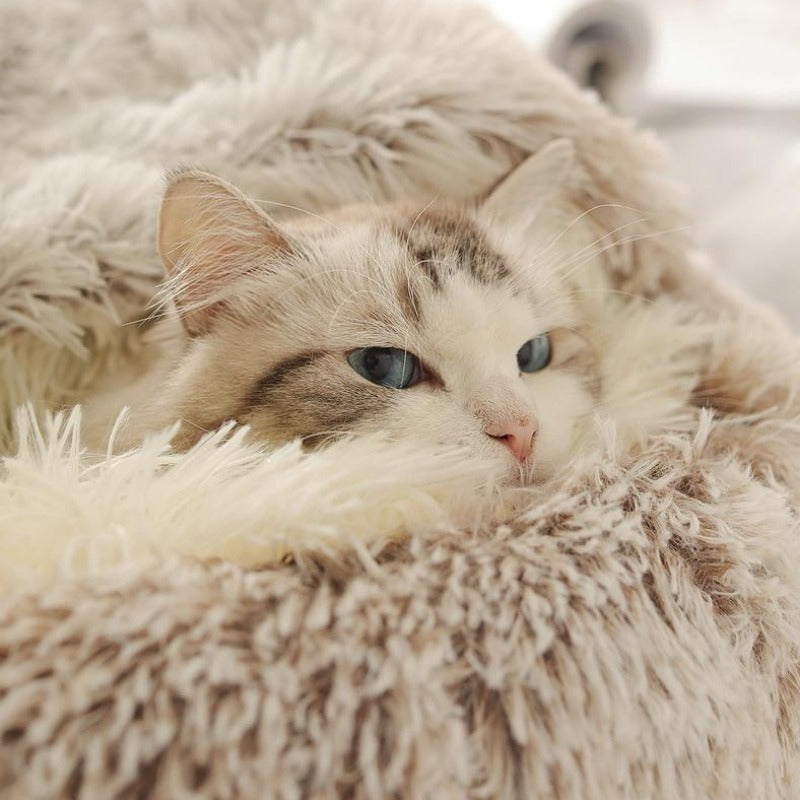 Ronde, rustgevende kattengrot van pluche