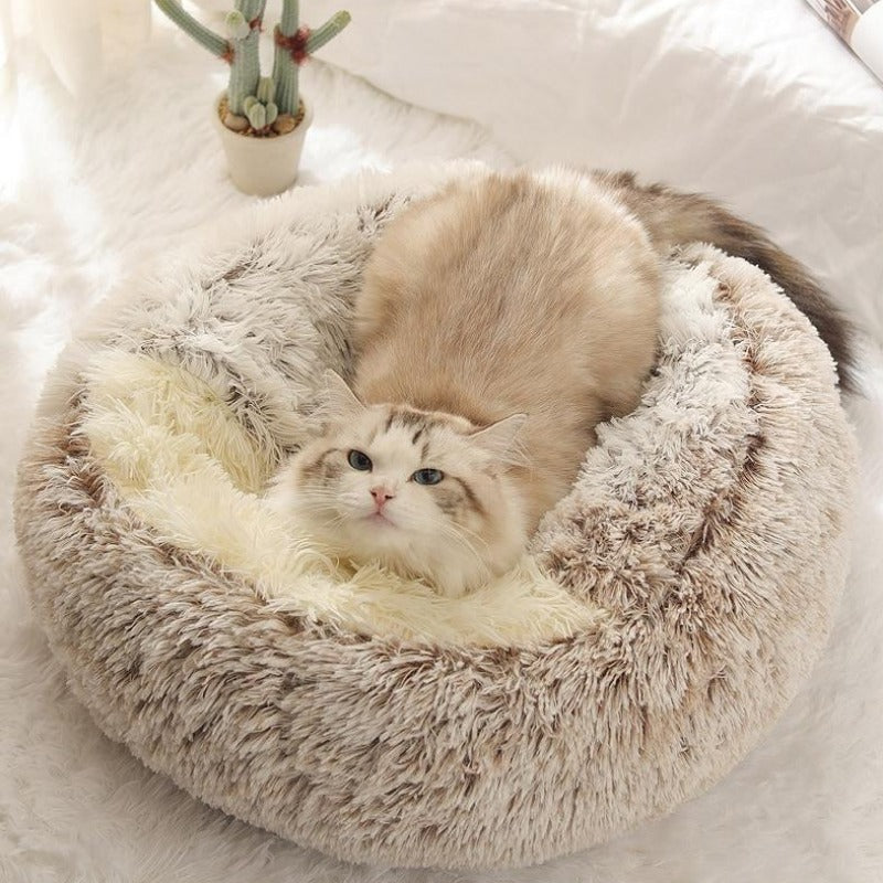 Ronde, rustgevende kattengrot van pluche