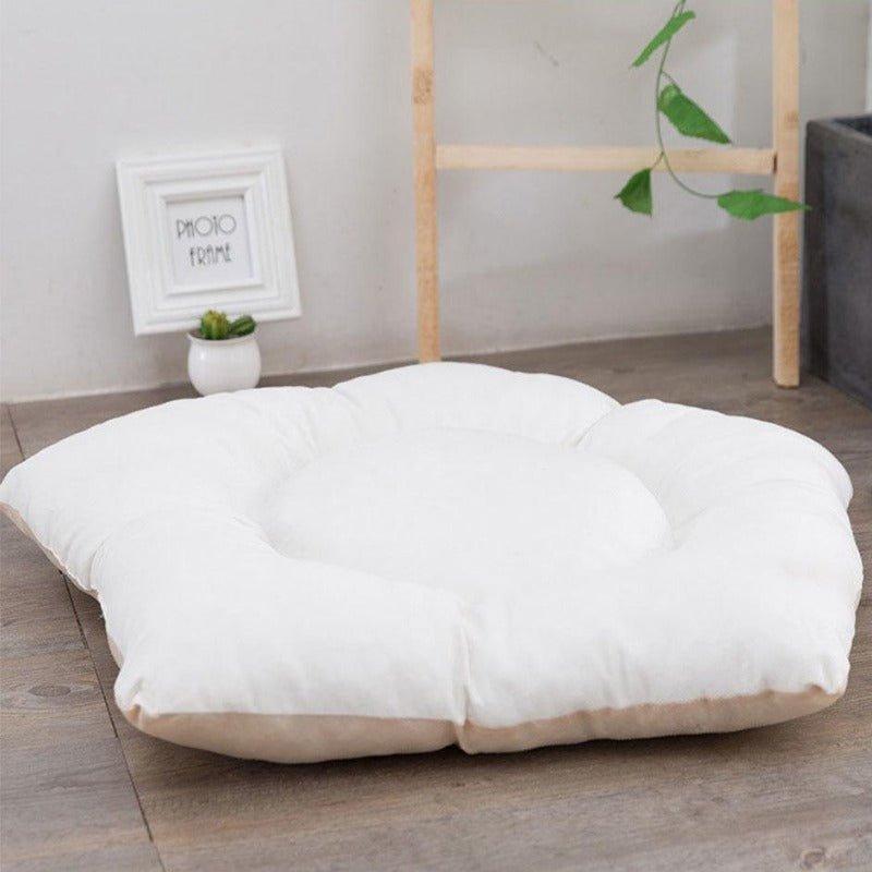 Witte kanten Pom Pom hondentipi met hondenkussen