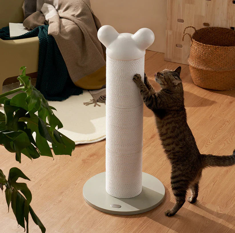 Makesure Nino Kat Krabpaal Toren