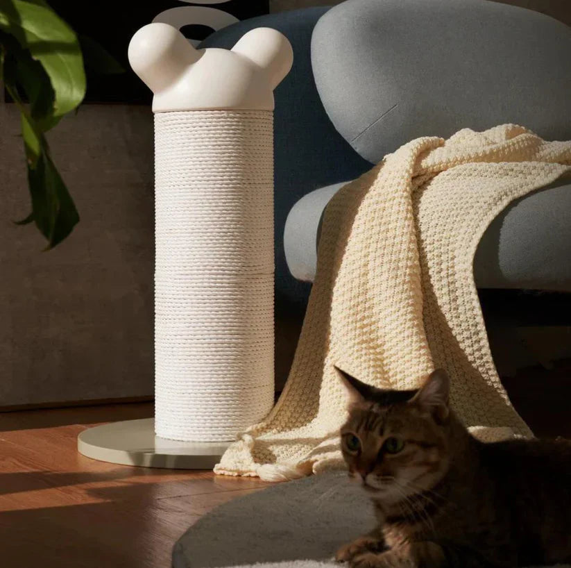 Makesure Nino Kat Krabpaal Toren