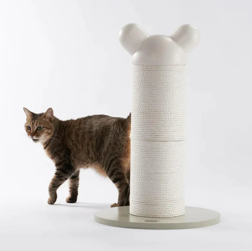 Makesure Nino Kat Krabpaal Toren