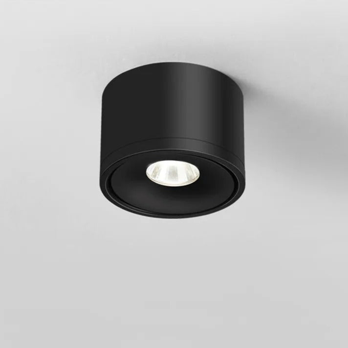 Paulina Opbouw Downlight 0