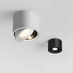 Paulina Opbouw Downlight 1