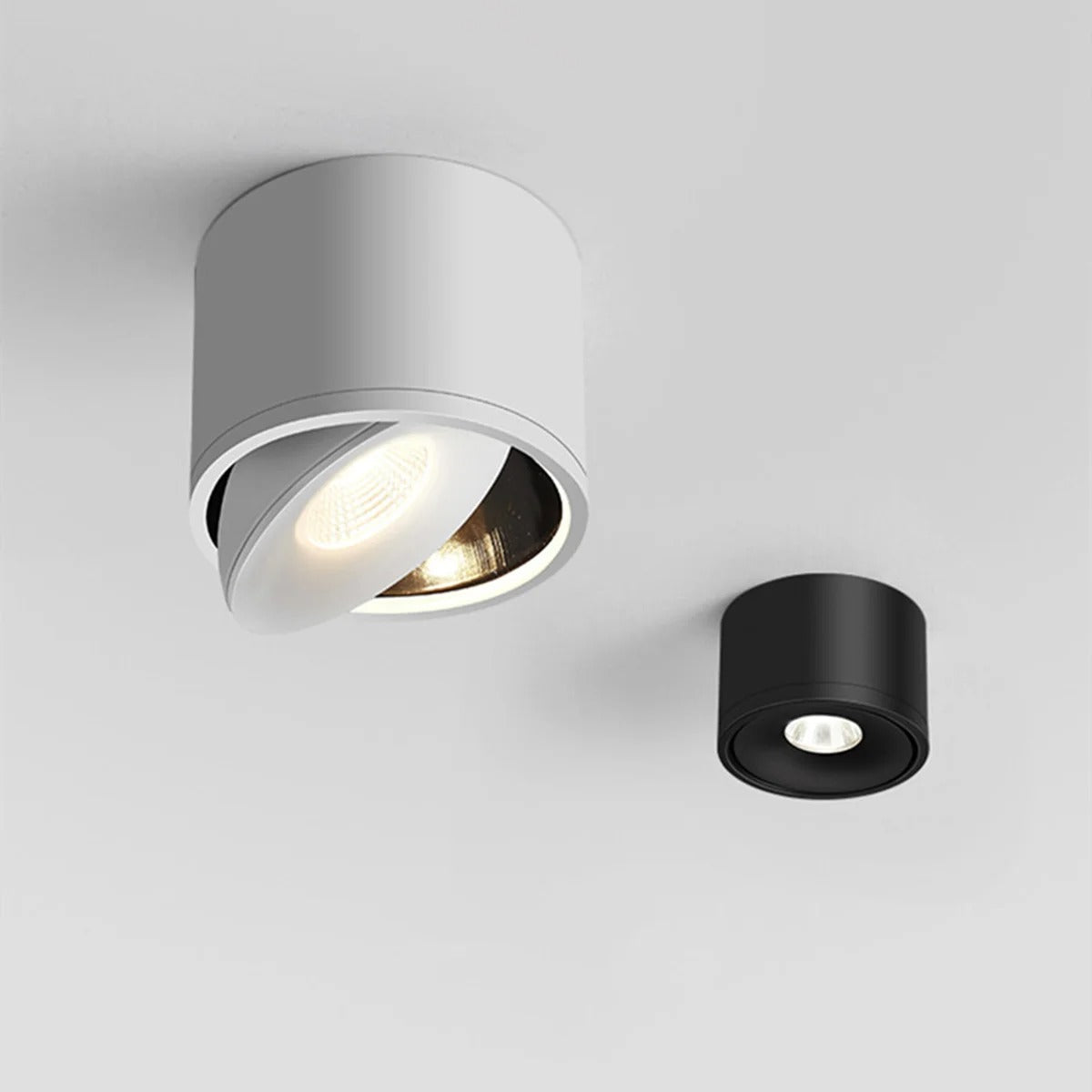 Paulina Opbouw Downlight 1