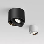 Paulina Opbouw Downlight 4