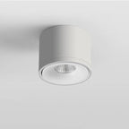 Paulina Opbouw Downlight 6