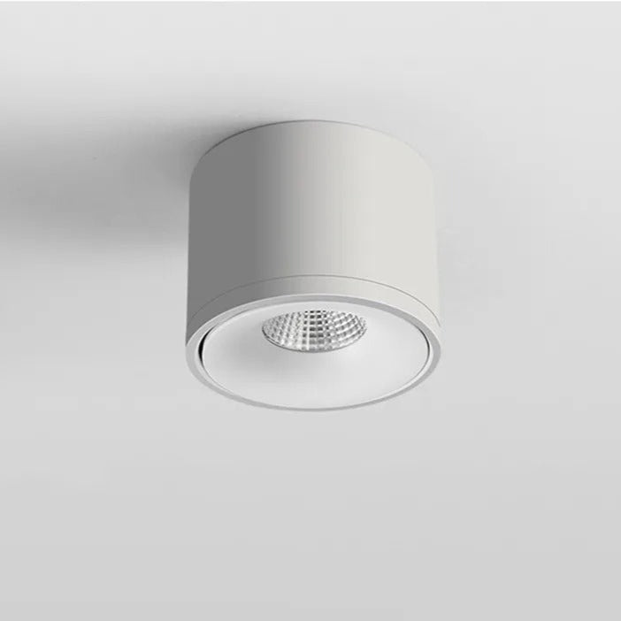 Paulina Opbouw Downlight 6
