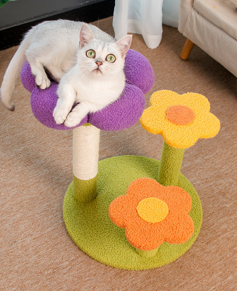 Bloeiende Bloem Kat Krabpaal