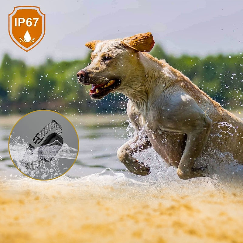 Hond Anti-Blaf Halsband - Waterdicht en Intelligente Identificatie