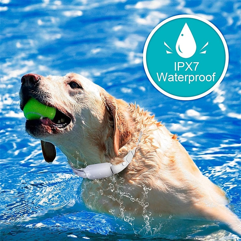 Hondenschokhalsband met afstandsbediening, waterdicht en oplaadbaar