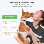 SmartSafe No-Bark Halsband voor Kleine Honden | Oplaadbaar Anti-Bark