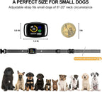 SmartSafe No-Bark Halsband voor Kleine Honden | Oplaadbaar Anti-Bark