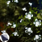 SunBlossom - Tuinbloem Verlicht door Zonne-energie