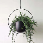 Stijlvolle plantenhanger voor binnen en buiten - LeafLuxe 4