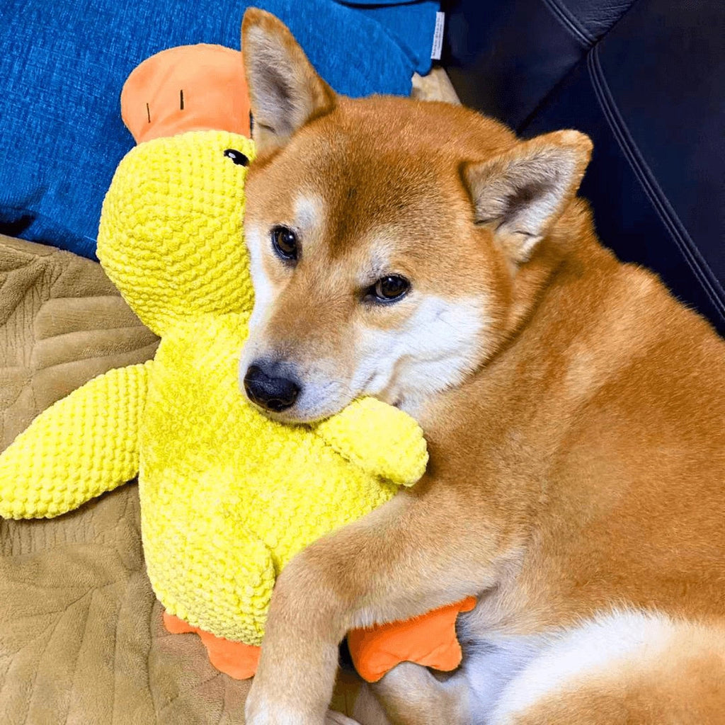 Grote Duurzame Pluche Eend Speelgoed voor Honden - Zachte Knuffelige Comfort