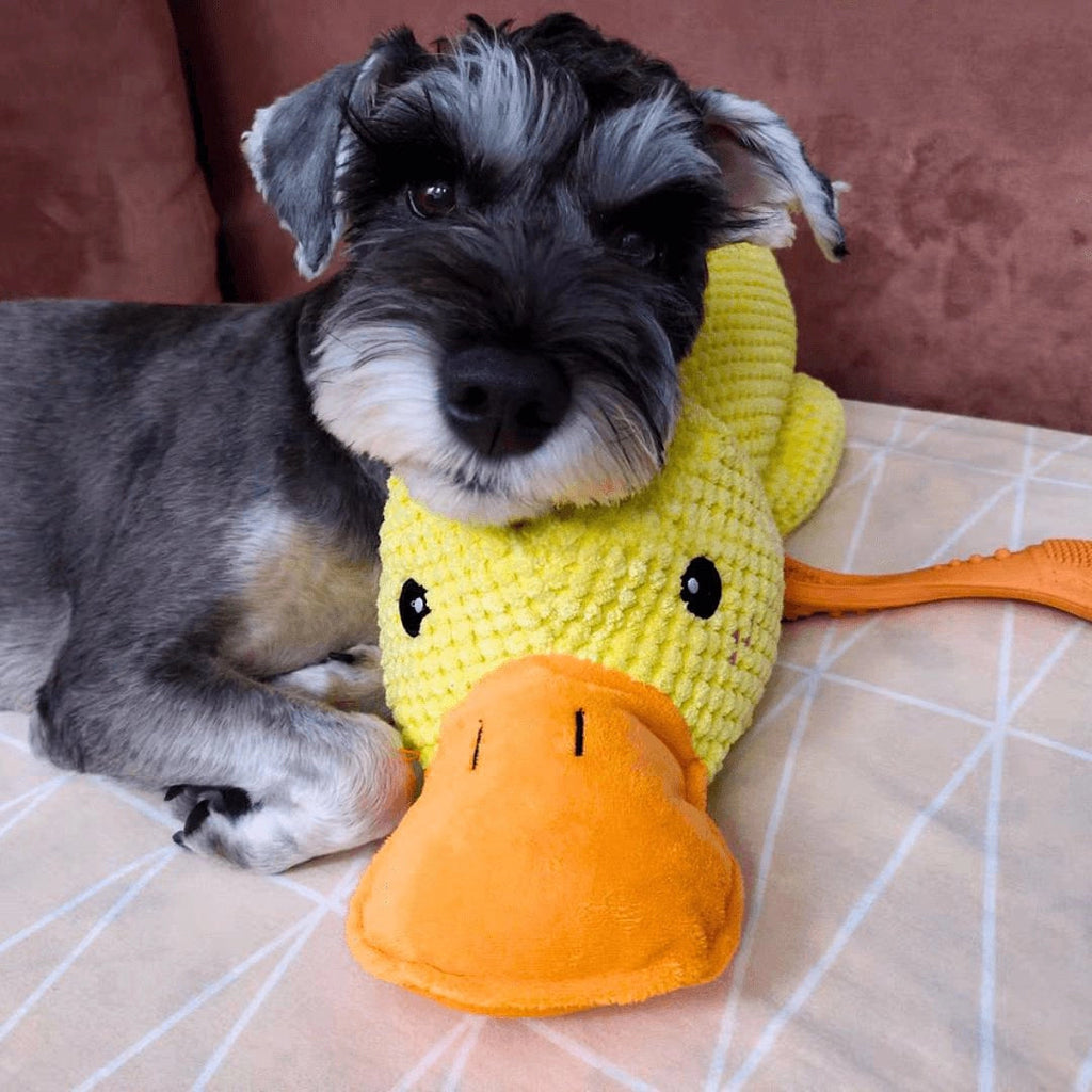 Grote Duurzame Pluche Eend Speelgoed voor Honden - Zachte Knuffelige Comfort