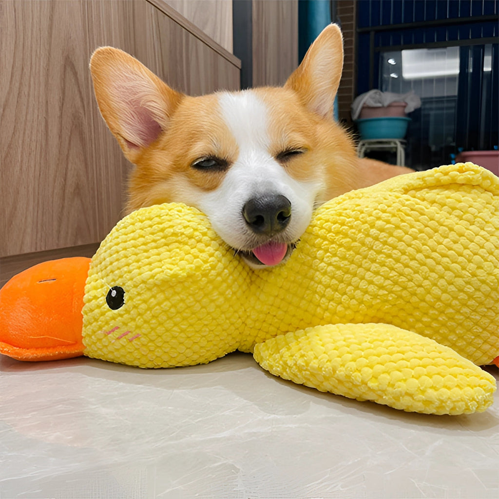 Grote Duurzame Pluche Eend Speelgoed voor Honden - Zachte Knuffelige Comfort