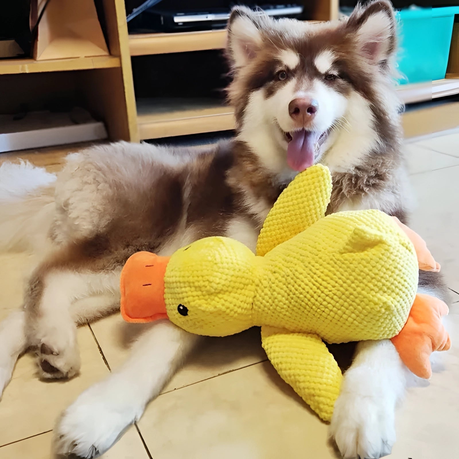 Grote Duurzame Pluche Eend Speelgoed voor Honden - Zachte Knuffelige Comfort