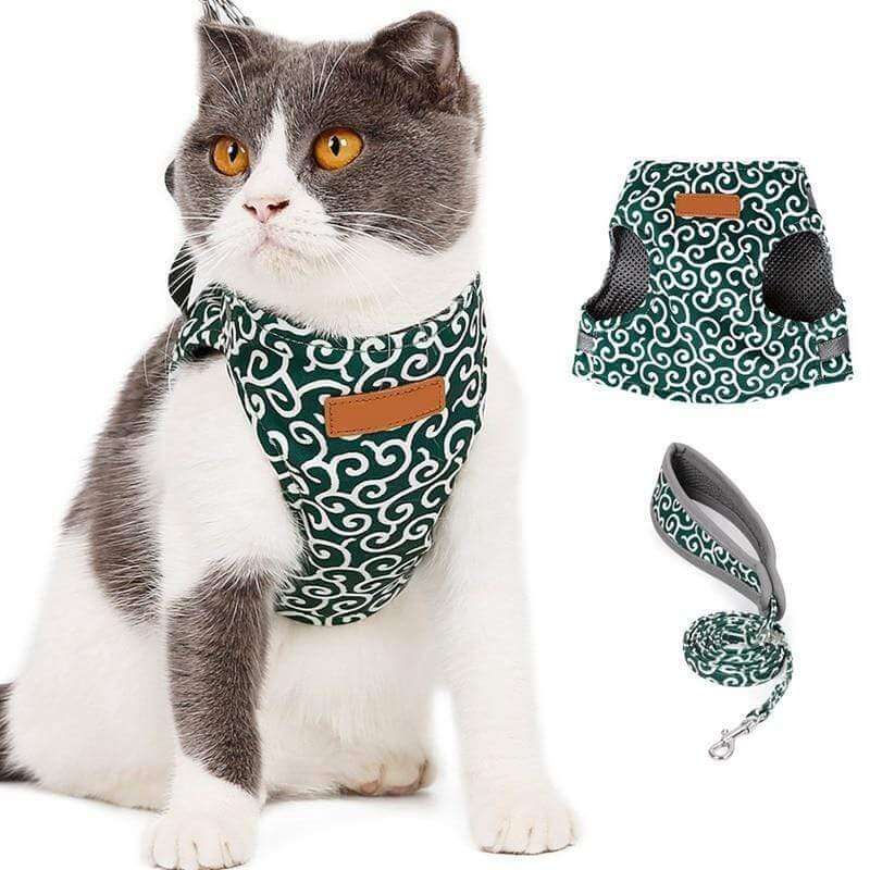 Kat Comfortabel Harnas Vest Set Voor Buiten Ervaring
