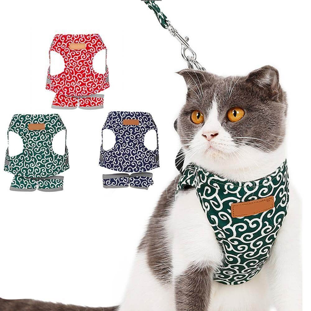 Kat Comfortabel Harnas Vest Set Voor Buiten Ervaring