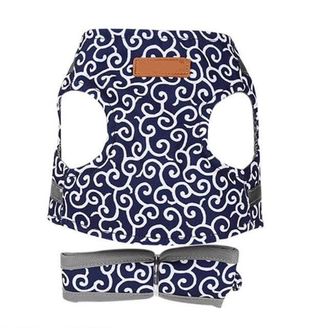 Kat Comfortabel Harnas Vest Set Voor Buiten Ervaring