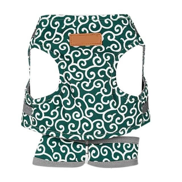 Kat Comfortabel Harnas Vest Set Voor Buiten Ervaring