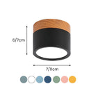 Cylinder Kleine Plafondlamp